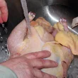 chicken-wash