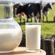 milk