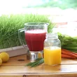 sivananda-yoga-camp-juice-fasting-detoxification-healthy-rejuvinate