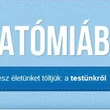 utikalauz-blog