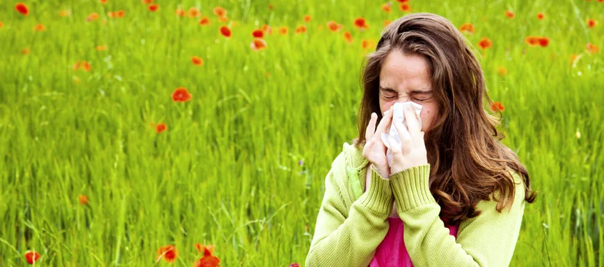 allergy2
