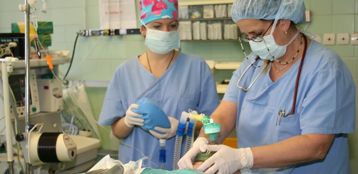 Preoperative anesthesia, analgesia.