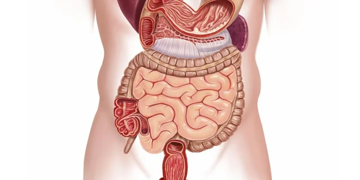 Colon mirroring is currently the most up-to-date and accurate screening method for colon / rectal disease.
