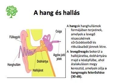 hallasunk-hullamhosszain-2