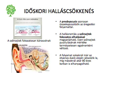 hallasunk-hullamhosszain-4
