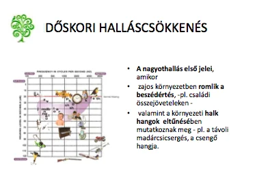 hallasunk-hullamhosszain-5
