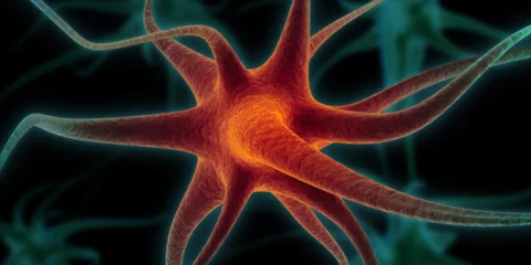 Neurosurgery deals with surgically treatable, curable diseases of the nervous system.