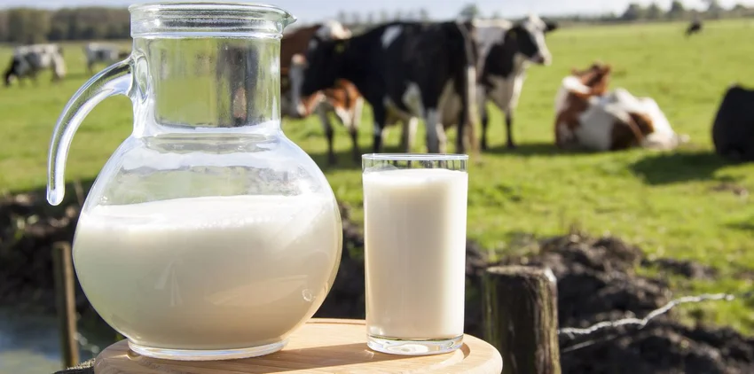 milk