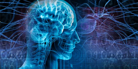 Neurofiziológia vizsgálat a Budai Egészségközpontban.