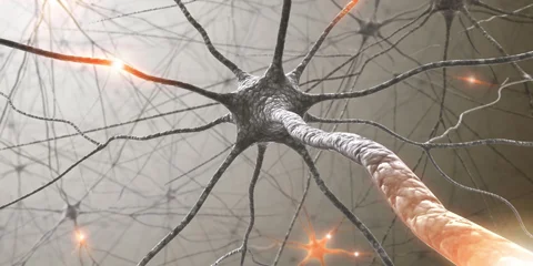 Neurology is a medical profession dealing with diseases of the central and peripheral nervous system.