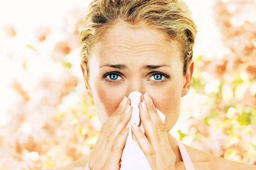 pollen