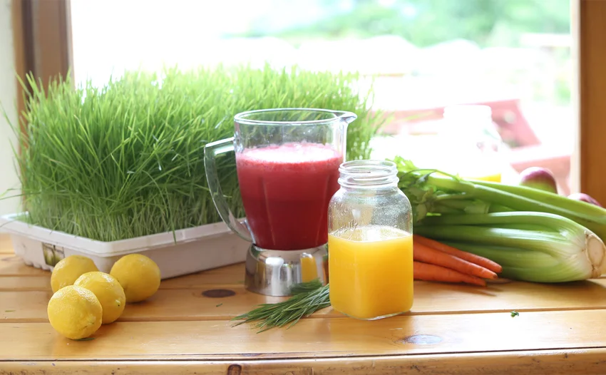 sivananda-yoga-camp-juice-fasting-detoxification-healthy-rejuvinate