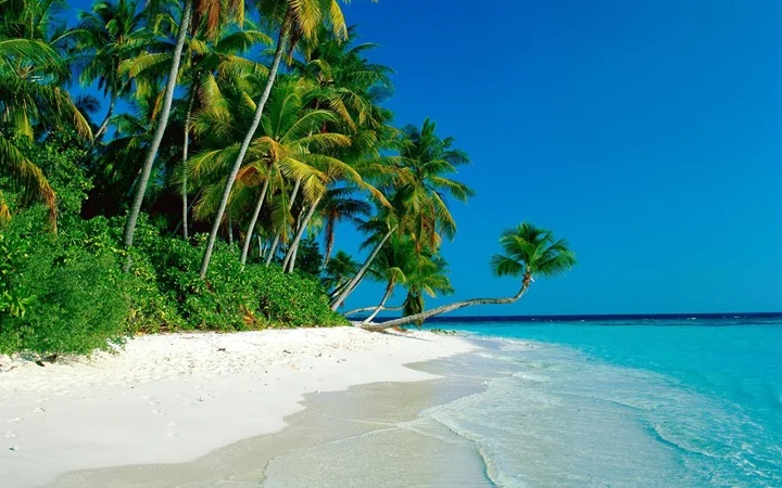 tropical-beach