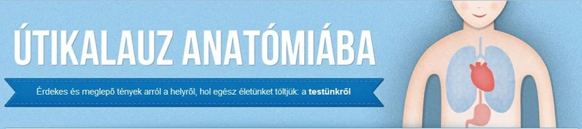 utikalauz-blog