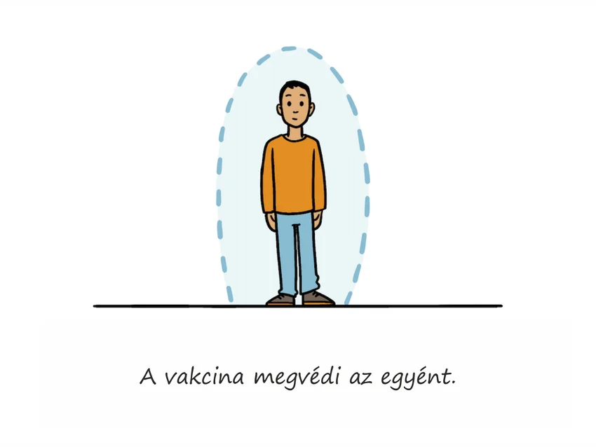 A vakcina megvédi az egyént.