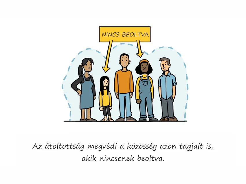 Az átoltottság megvédi a közösség azon tagjait is, akik nincsenek beoltva.