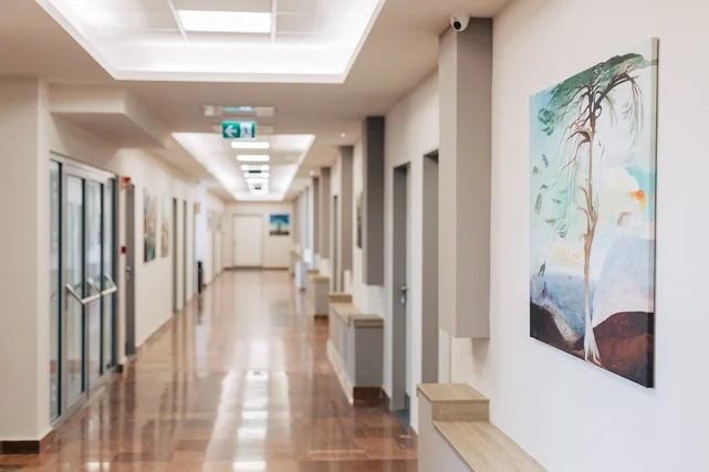 Private inpatient care