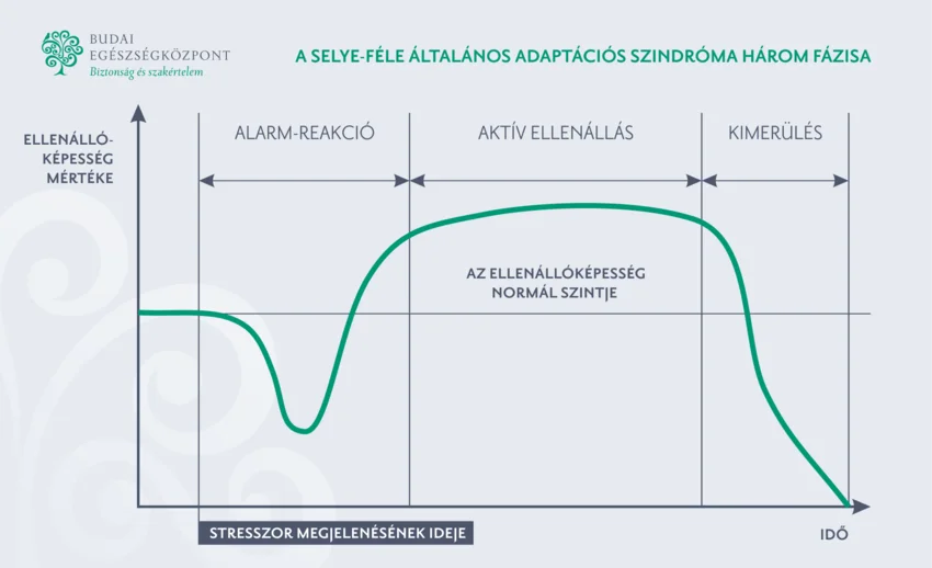 A selye-féle általános adaptációs szindróma három fázisa
