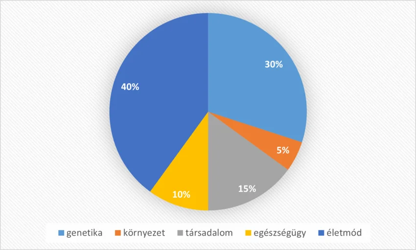 Kördiagram - egészségtréning