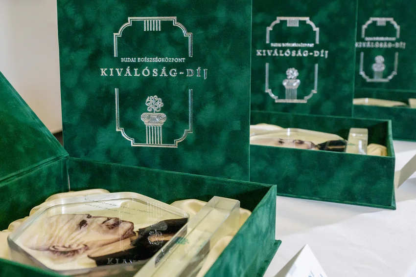 Semmelweis-napi díjátadó