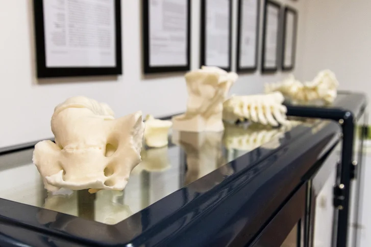 Beszélgetés Dr. Éltes Péterrel, az In Silico Biomechanikai Laboratórium vezetőjével