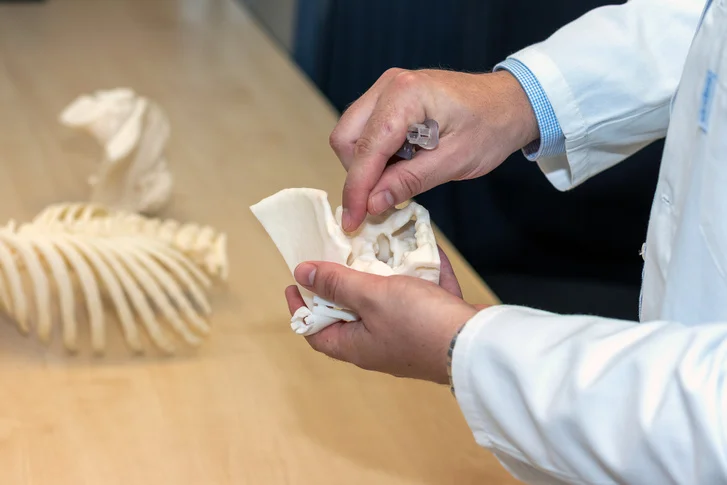 Beszélgetés Dr. Éltes Péterrel, az In Silico Biomechanikai Laboratórium vezetőjével