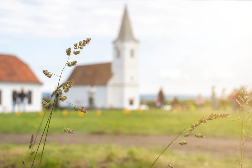 OTP Családi Nap - Vállalati partnerünket segítettük a munkavállalói jóllét előmozdításában