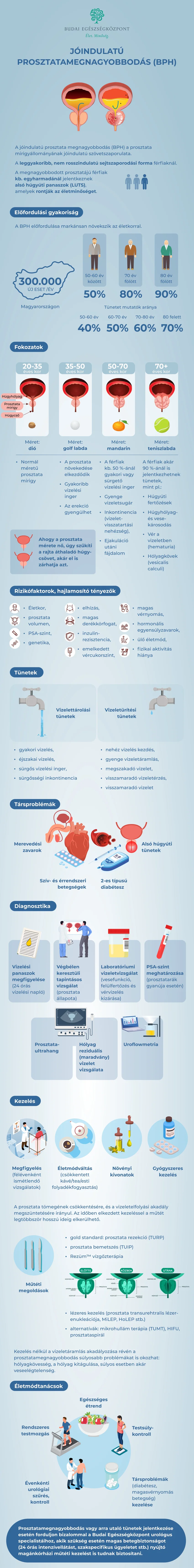 Prosztatamegnagyobbodás infografika