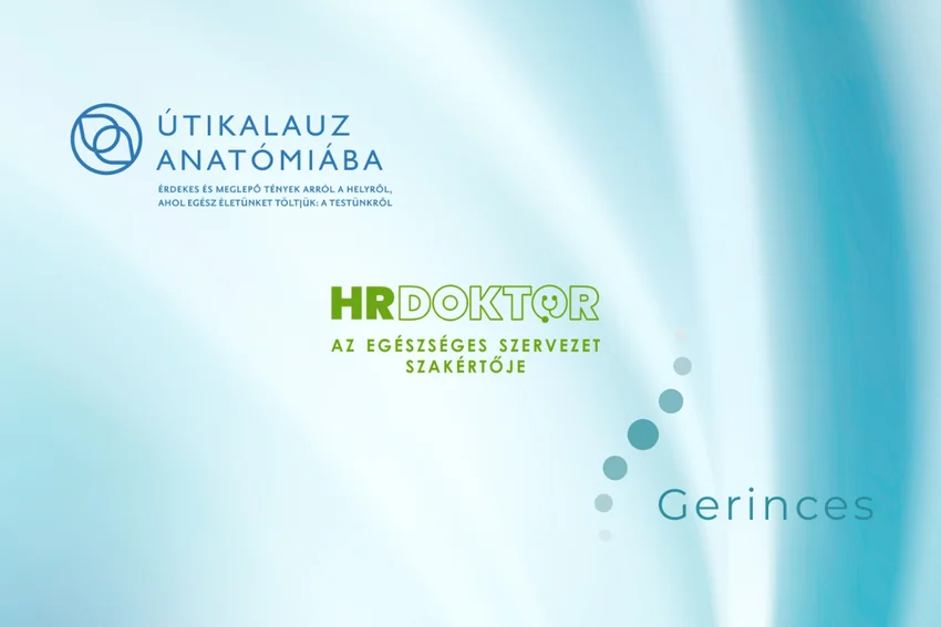 Egészség közérthetően