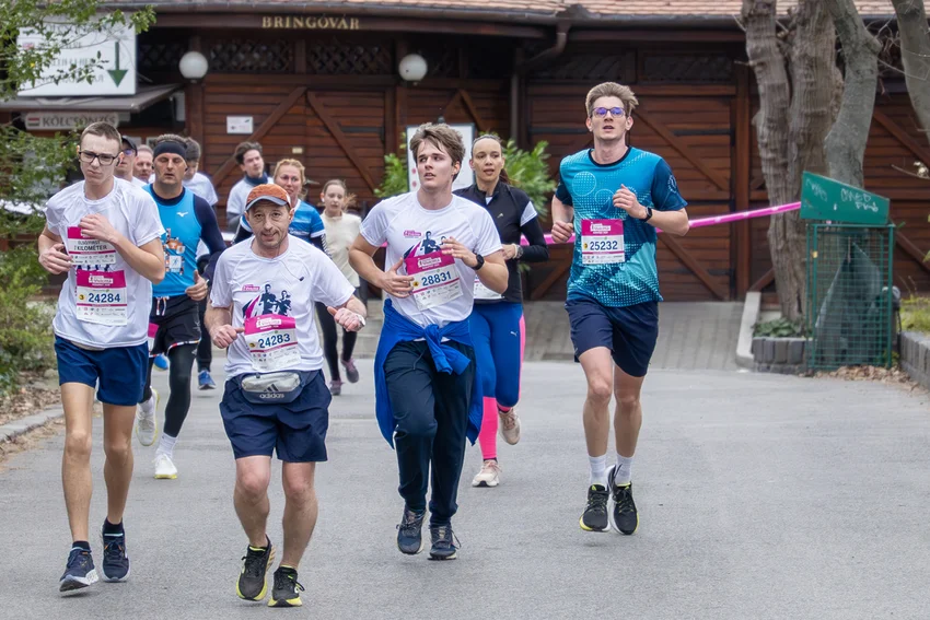 Több mint fél ezer kilométer – közös siker a Vivicittán