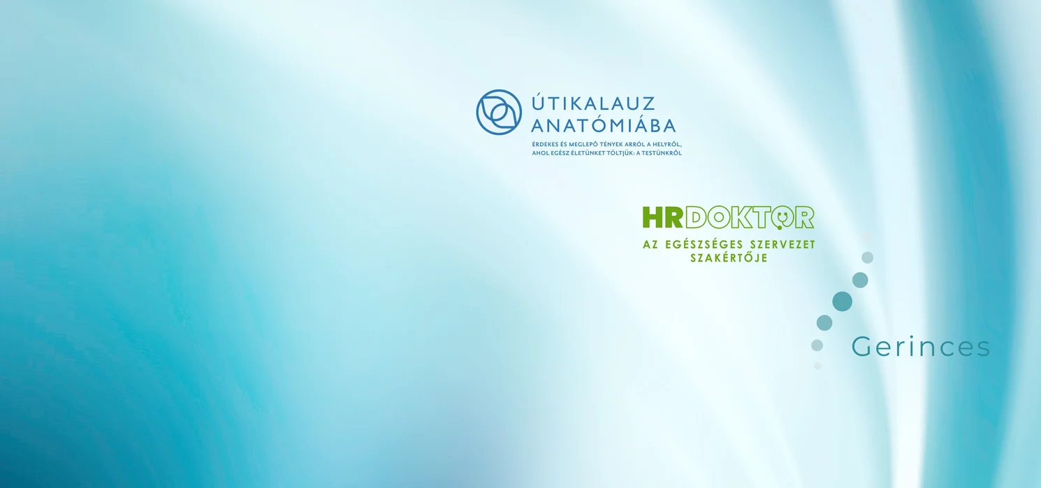 2025 legolvasottabb blogposztjai pácienseink szemével